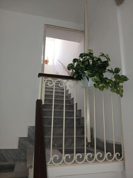 Lusiana Apartment Syracuse Eksteriør bilde